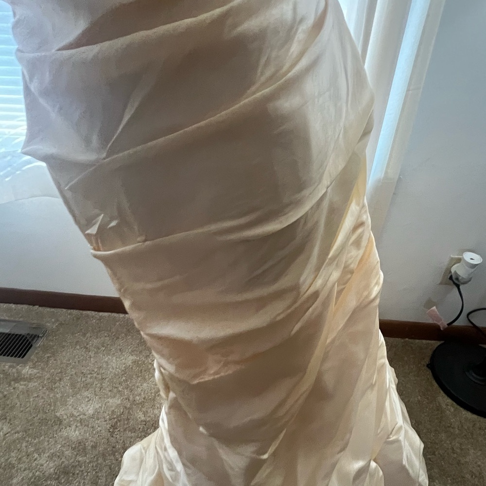 Elegant Cream Strapless David's bridal gown - Picture 5 of 8